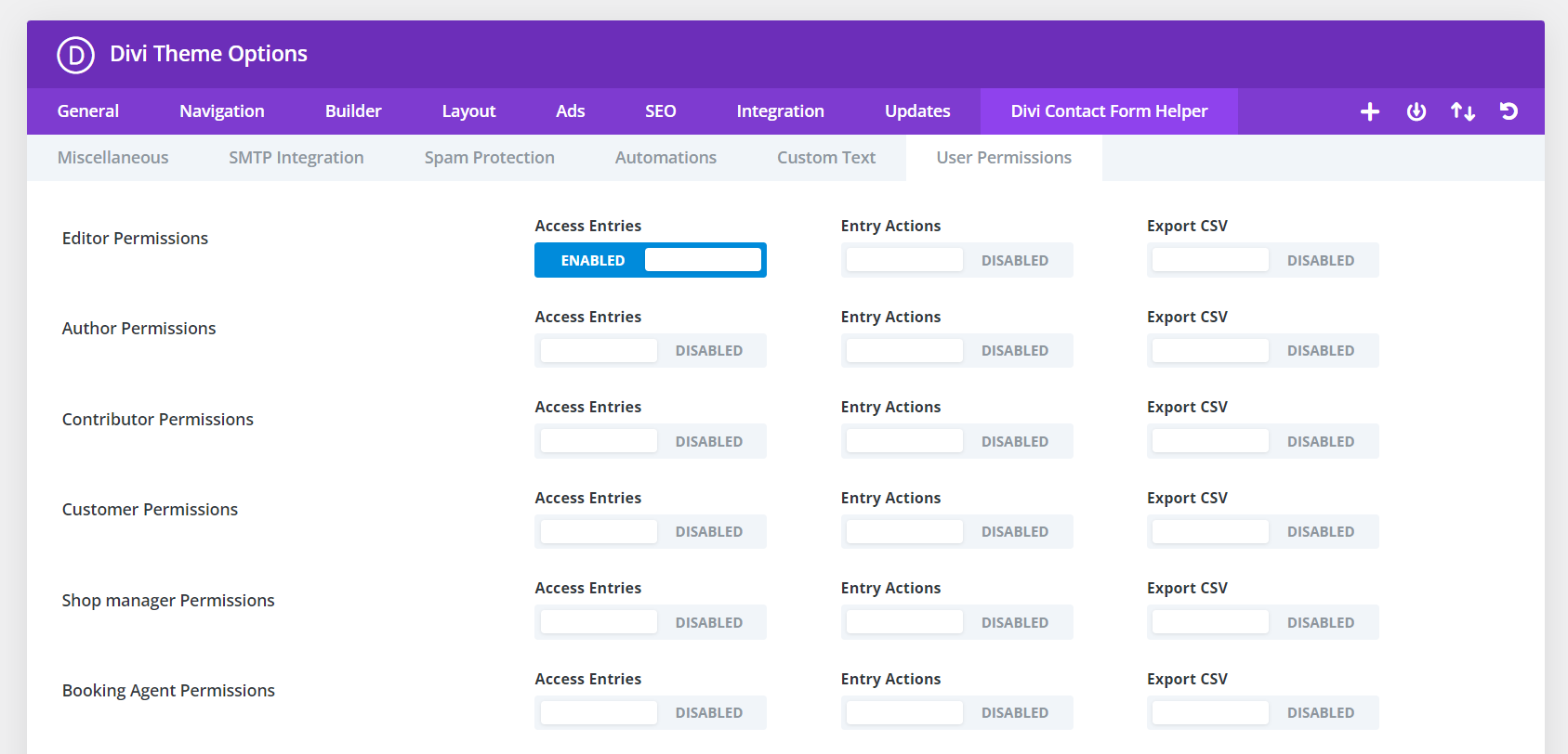 Screenshot of Divi Theme Options page with settings.